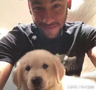世界杯來了！讓我們扒一扒這些超級巨星們都在