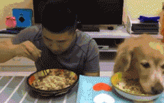 如果你家也有只吃貨狗狗，這點一定要注意！