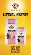 奧丁精品幼貓糧閃耀登場?。?！