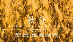 秋分丨晝夜分畫，漸入秋華