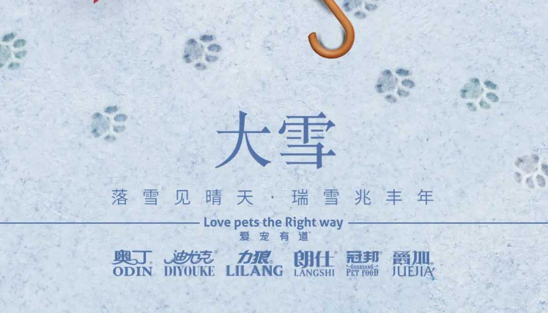 大雪丨雪落知寒意 久伴見初心！