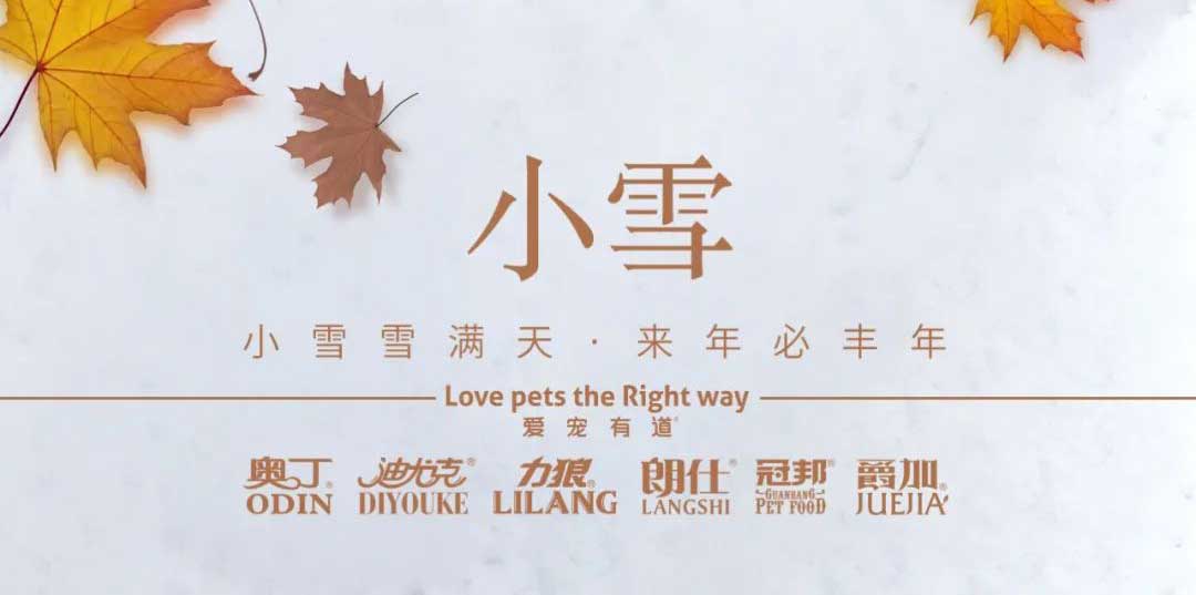小雪丨天地初寒，歲月安暖